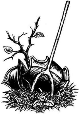 Иллюстрация к книге — Непобедимая Моди [i_002.jpg]