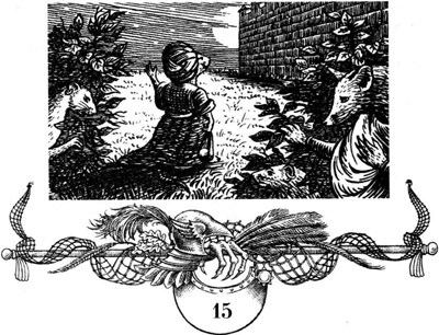 Иллюстрация к книге — Непобедимая Моди [i_037.jpg]