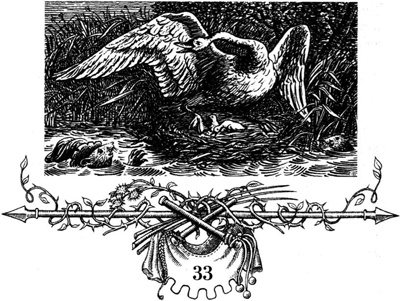 Иллюстрация к книге — Непобедимая Моди [i_064.jpg]