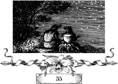 Иллюстрация к книге — Непобедимая Моди [i_067.jpg]