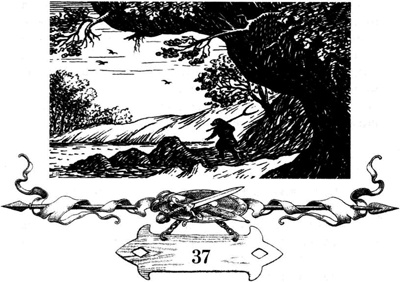 Иллюстрация к книге — Непобедимая Моди [i_069.jpg]