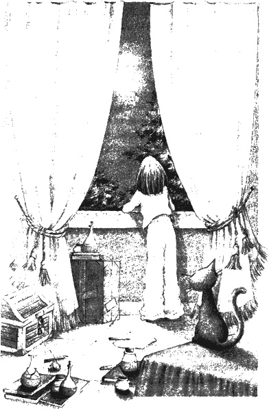 Иллюстрация к книге — Нина. Девочка Шестой Луны [img06.jpg]