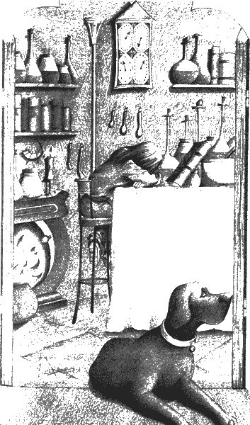 Иллюстрация к книге — Нина. Девочка Шестой Луны [img37.jpg]