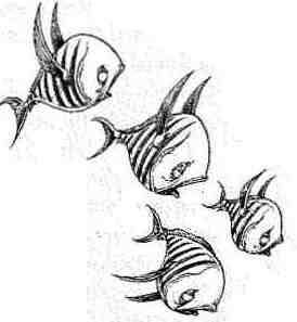 Иллюстрация к книге — Опасный рейс [i_063.jpg]