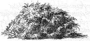 Иллюстрация к книге — Опасный рейс [i_155.jpg]