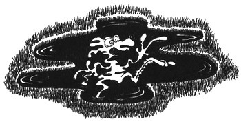 Иллюстрация к книге — 13 1/2 жизней капитана по имени Синий Медведь [i_022.jpg]