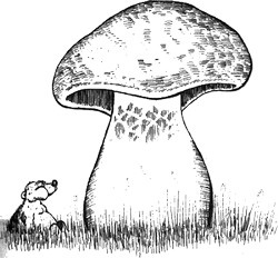 Иллюстрация к книге — 13 1/2 жизней капитана по имени Синий Медведь [i_040.jpg]