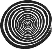 Иллюстрация к книге — 13 1/2 жизней капитана по имени Синий Медведь [i_082.jpg]