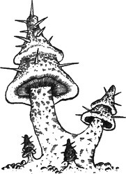 Иллюстрация к книге — 13 1/2 жизней капитана по имени Синий Медведь [i_091.jpg]