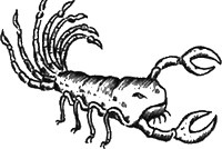 Иллюстрация к книге — 13 1/2 жизней капитана по имени Синий Медведь [i_094.jpg]