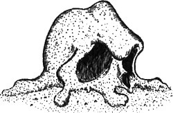 Иллюстрация к книге — 13 1/2 жизней капитана по имени Синий Медведь [i_096.jpg]