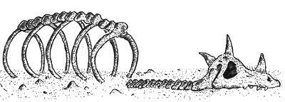 Иллюстрация к книге — 13 1/2 жизней капитана по имени Синий Медведь [i_099.jpg]