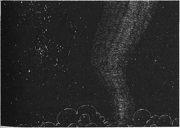 Иллюстрация к книге — 13 1/2 жизней капитана по имени Синий Медведь [i_106.jpg]