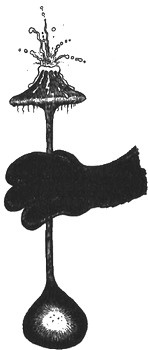 Иллюстрация к книге — 13 1/2 жизней капитана по имени Синий Медведь [i_123.jpg]