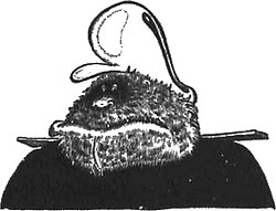 Иллюстрация к книге — 13 1/2 жизней капитана по имени Синий Медведь [i_126.jpg]