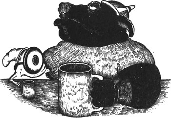 Иллюстрация к книге — 13 1/2 жизней капитана по имени Синий Медведь [i_143.jpg]