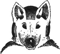 Иллюстрация к книге — 13 1/2 жизней капитана по имени Синий Медведь [i_149.jpg]