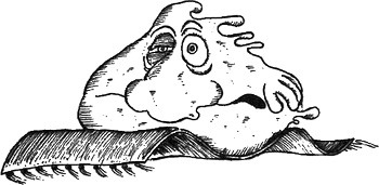 Иллюстрация к книге — 13 1/2 жизней капитана по имени Синий Медведь [i_170.jpg]