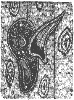 Иллюстрация к книге — Город Мечтающих Книг [i_059.jpg]