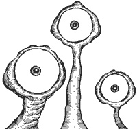 Иллюстрация к книге — Город Мечтающих Книг [i_078.jpg]