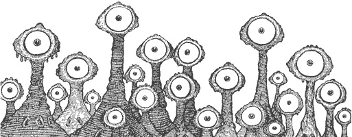 Иллюстрация к книге — Город Мечтающих Книг [i_085.jpg]