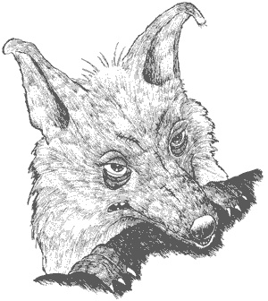 Иллюстрация к книге — Город Мечтающих Книг [i_097.jpg]