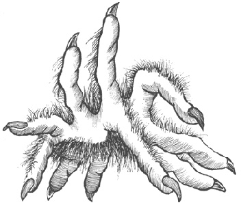 Иллюстрация к книге — Город Мечтающих Книг [i_107.jpg]