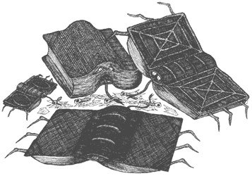 Иллюстрация к книге — Город Мечтающих Книг [i_127.jpg]