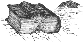 Иллюстрация к книге — Город Мечтающих Книг [i_130.jpg]