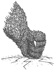 Иллюстрация к книге — Город Мечтающих Книг [i_131.jpg]