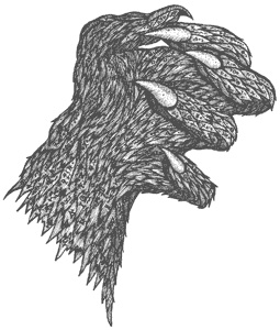 Иллюстрация к книге — Город Мечтающих Книг [i_159.jpg]