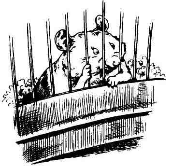 Иллюстрация к книге — Пришельцы развлекаются [i_006.jpg]