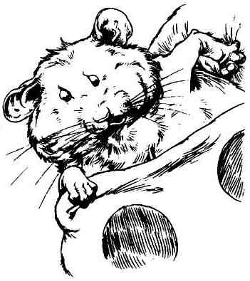 Иллюстрация к книге — Пришельцы развлекаются [i_013.jpg]