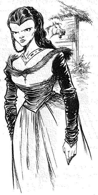 Иллюстрация к книге — Вольный рыцарь [i_018.jpg]