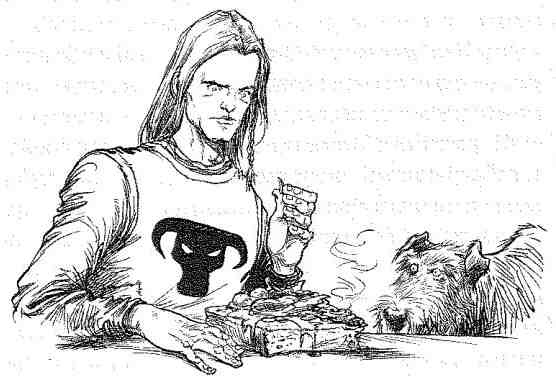 Иллюстрация к книге — Вольный рыцарь [i_024.jpg]