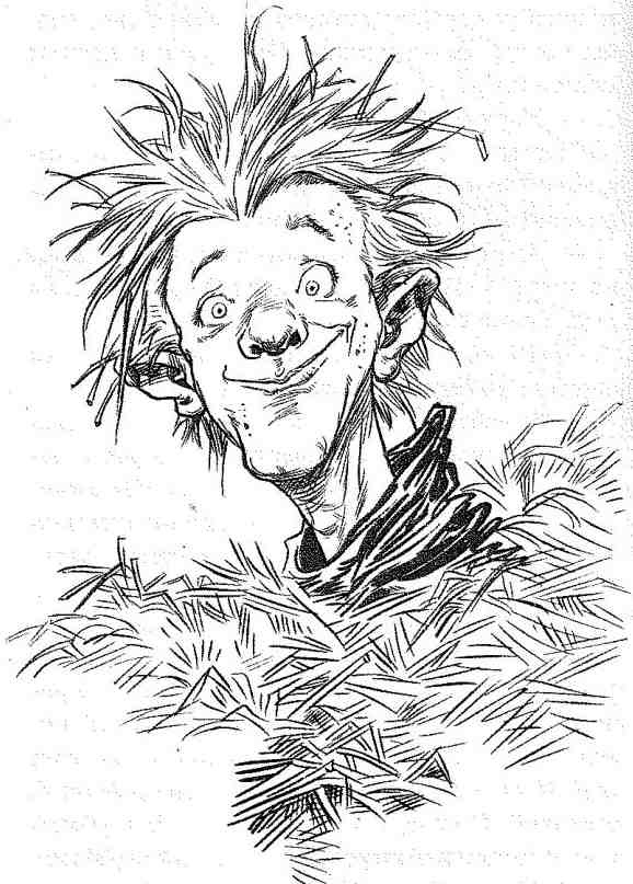 Иллюстрация к книге — Вольный рыцарь [i_045.jpg]