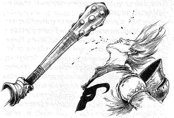 Иллюстрация к книге — Вольный рыцарь [i_052.jpg]