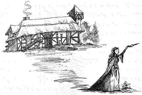 Иллюстрация к книге — Вольный рыцарь [i_057.jpg]