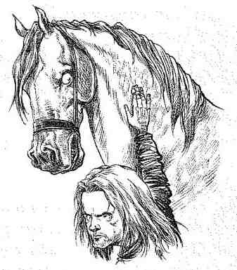 Иллюстрация к книге — Вольный рыцарь [i_069.jpg]