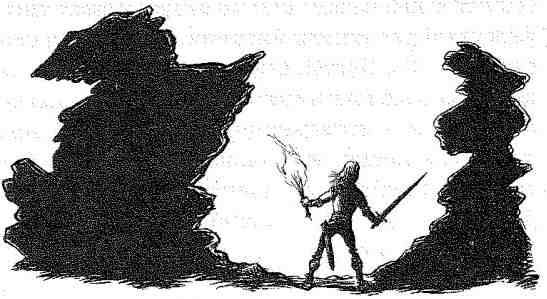 Иллюстрация к книге — Вольный рыцарь [i_072.jpg]