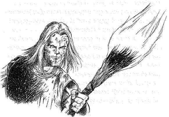 Иллюстрация к книге — Вольный рыцарь [i_108.jpg]