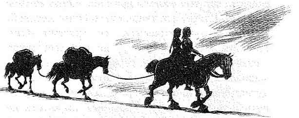 Иллюстрация к книге — Вольный рыцарь [i_112.jpg]