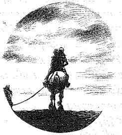 Иллюстрация к книге — Вольный рыцарь [i_115.jpg]