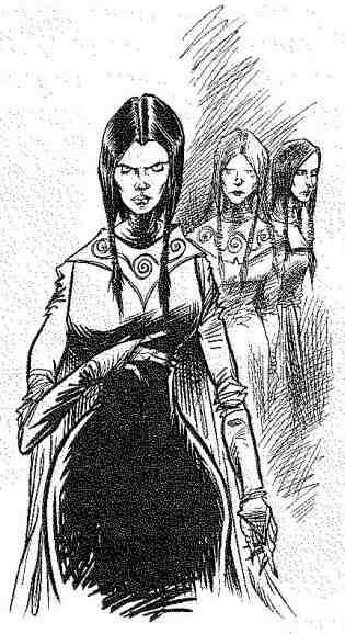 Иллюстрация к книге — Вольный рыцарь [i_140.jpg]