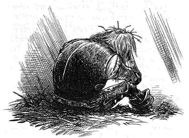 Иллюстрация к книге — Вольный рыцарь [i_162.jpg]