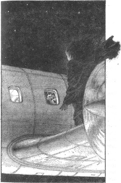 Иллюстрация к книге — Ангел тени [pic041.jpg]