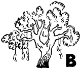 Иллюстрация к книге — Капитан Крокус [croc_25pr.jpg]