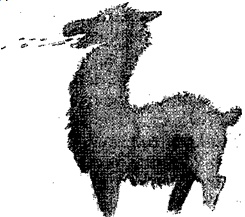 Иллюстрация к книге — Заколдовать учителя? Нет проблем! [_09082010_160110.jpg]