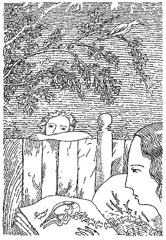 Иллюстрация к книге — Скеллиг [i_005.jpg]