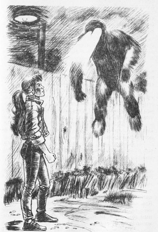 Иллюстрация к книге — Оранжевый туман [i_004.jpg]